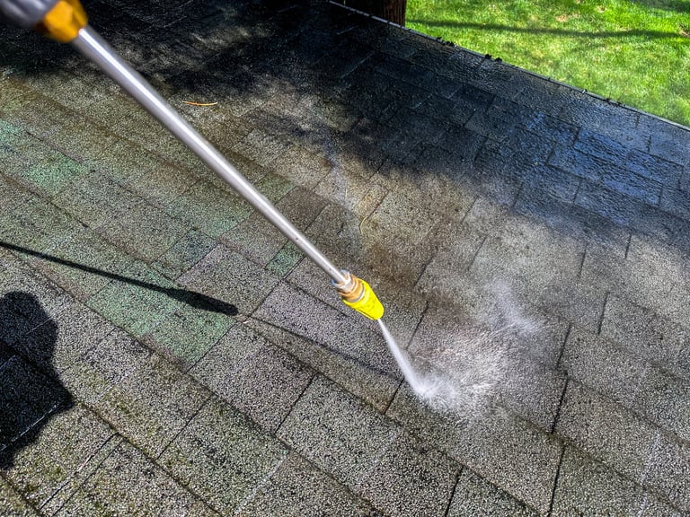 Professional gutter cleaning service
