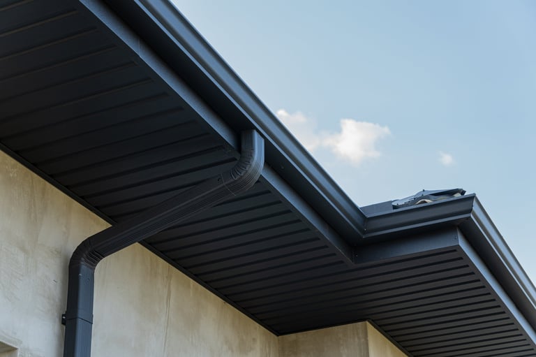 Clean home gutter system