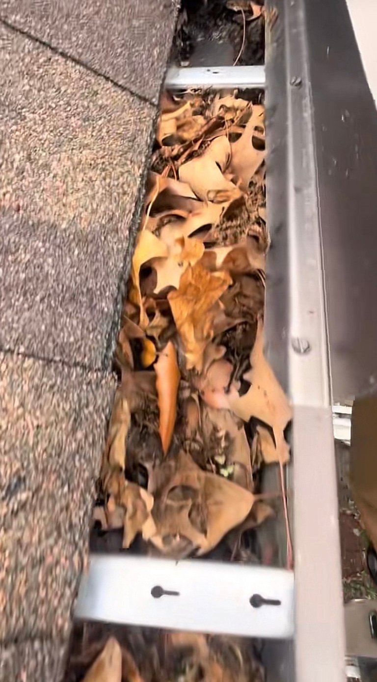 Rain gutter filled with dried brown and yellow leaves and debris